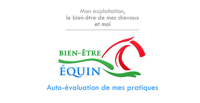 Bien-Être Équin
