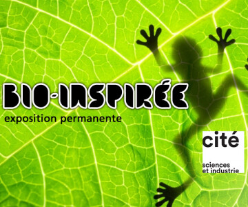 Bio-inspirée