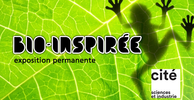 Bio-inspirée